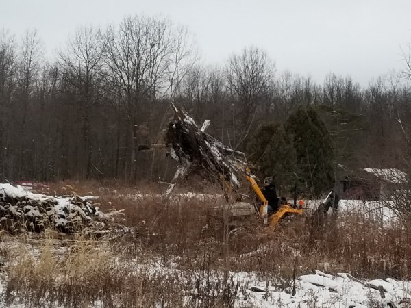 20190113_165059.jpg