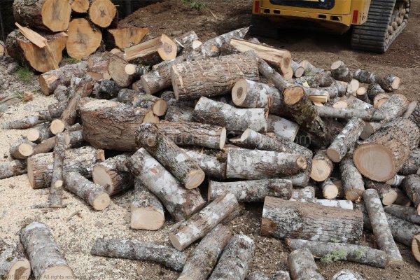20180615-firewood-2.jpg