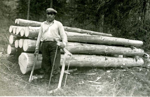 1200px-Finnish_lumberjack_in_1944.jpg