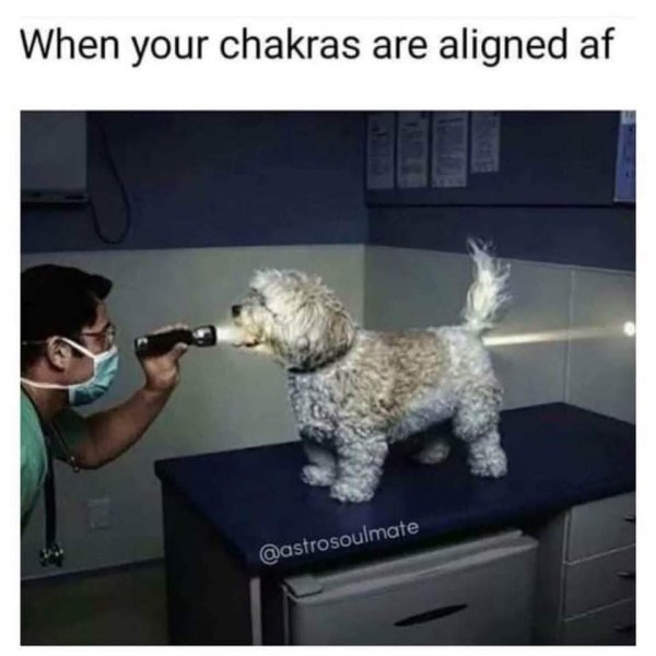 Chakralignment.jpg