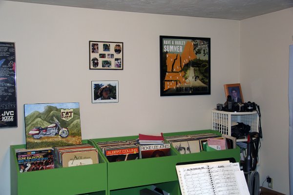 record collection and poster.jpg