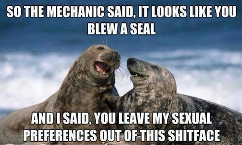 Blew deals a seal