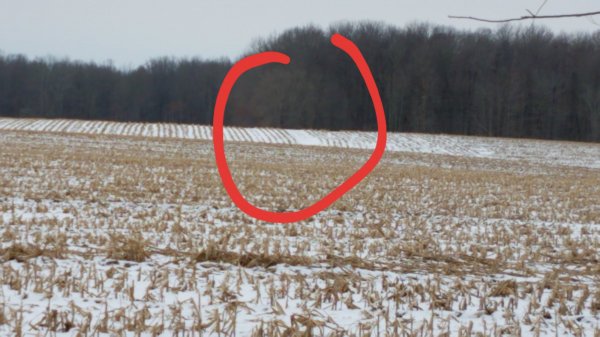 20190117_201659.jpg