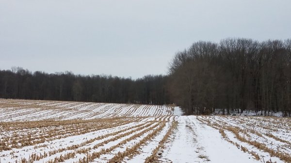 20190117_130336.jpg