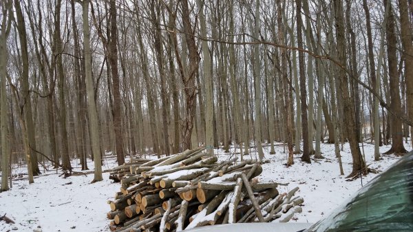 20190117_130645.jpg
