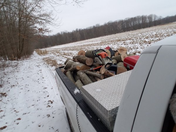 20190117_135336.jpg