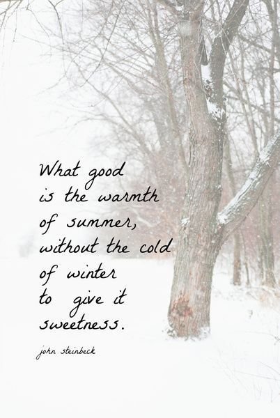 0f93bbde05948a17fcb8bbd8b57f8721--cold-weather-quotes-cold-quotes.jpg