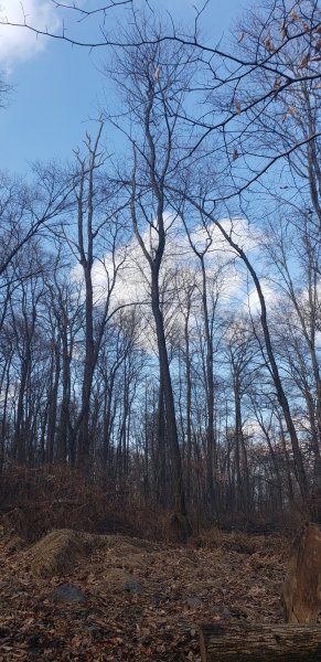 20190125_131519.jpg