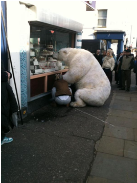 Polar-bear-cakes.png