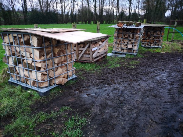 my ibc totes of ash.jpg