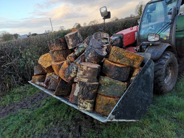 load of cherry and birch.jpg