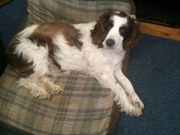 Justin iphone pics 123.JPG