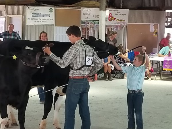 CJ & Thunder '18 fair.jpg