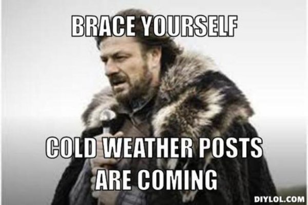 winter-is-coming-meme-generator-brace-yourself-cold-weather-posts-are-coming-80d6c4.jpg