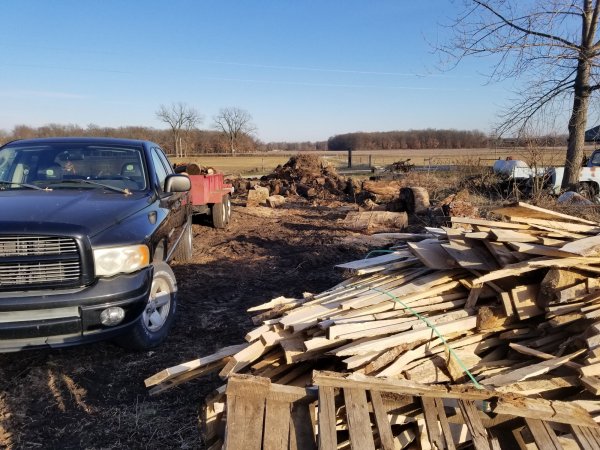 cleaning up the wood lot.jpg