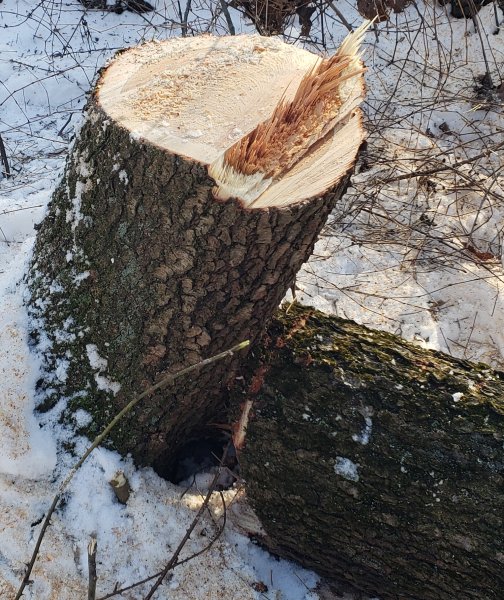 20190202_175426.jpg