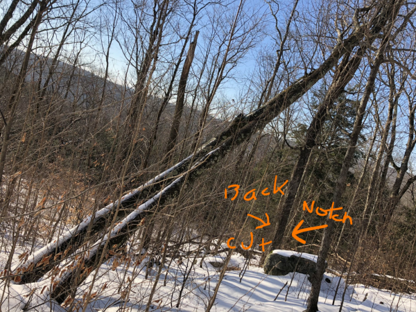 2019-02-06 09.22.55.png