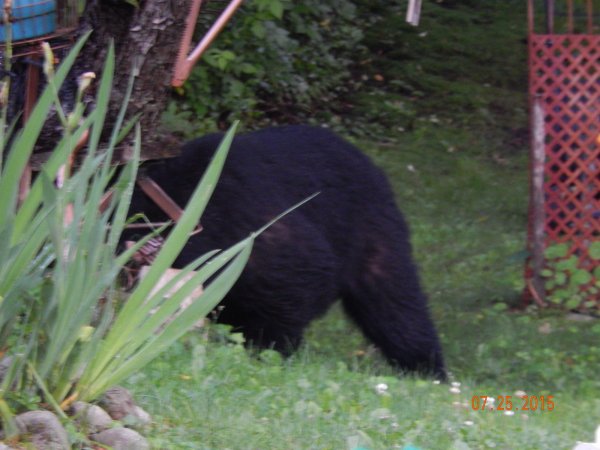 DSCN0685.JPG