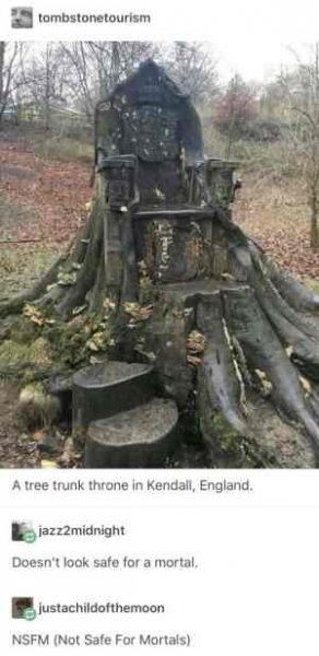 s-28311-a-tree-trunk-throne-in-kendall-england.jpg