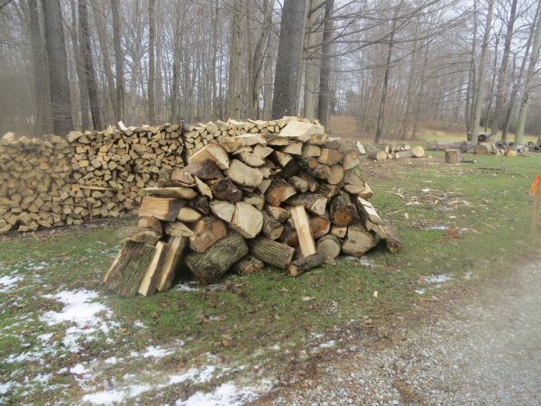 firewood 005.JPG