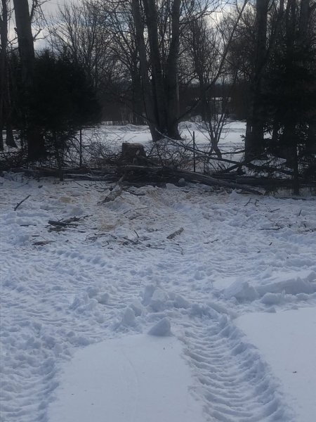 24032568-78B3-4C01-B8DF-40A8DFE38671.jpeg