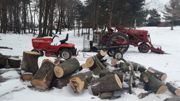 20190216_091013.jpg