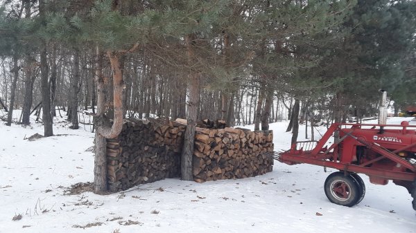 20190216_140215.jpg