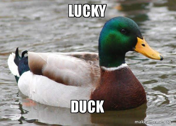 lucky-duck-lbk9fy.jpg