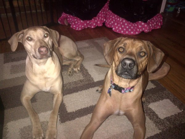 District 2-20130122-00158.jpg