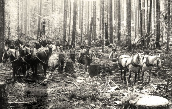 Hood river horse logging.jpg