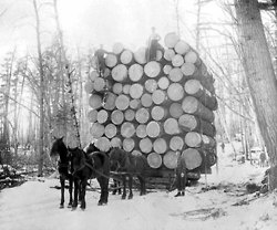 Some old western falling pix | Firewood Hoarders Club