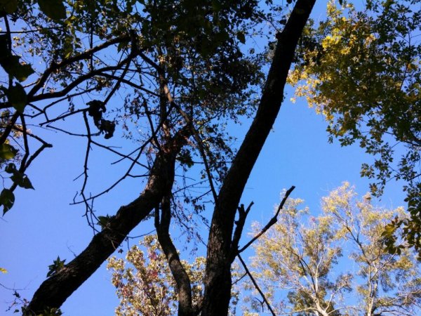 IMG_20131019_162840_780~01.jpg