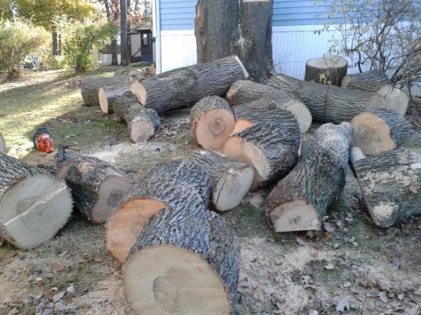 20131021_092037.jpg