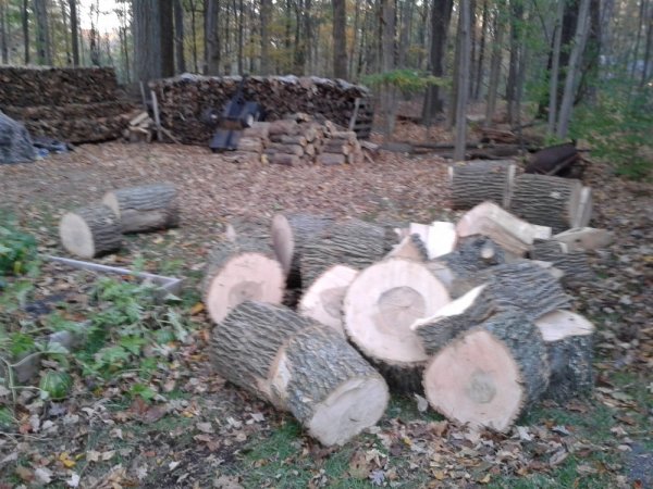 20131021_175242.jpg