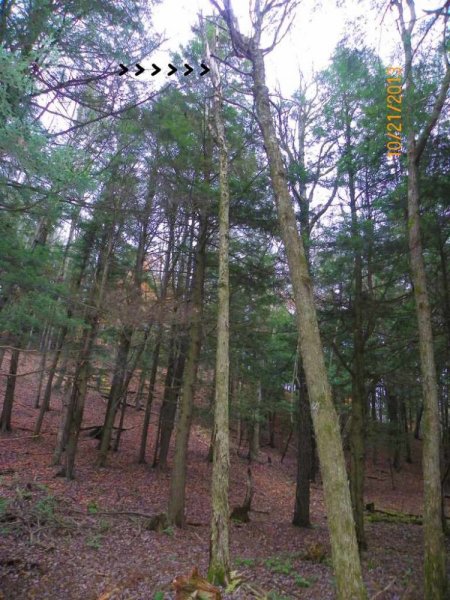 100_8080.JPG