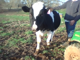 03-29-10_1837.jpg