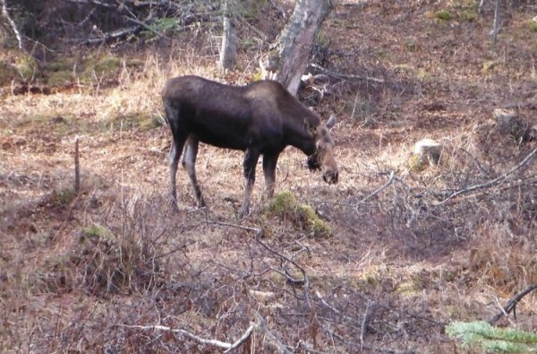 DSCF1656.JPG