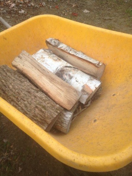 whitebirch.jpg