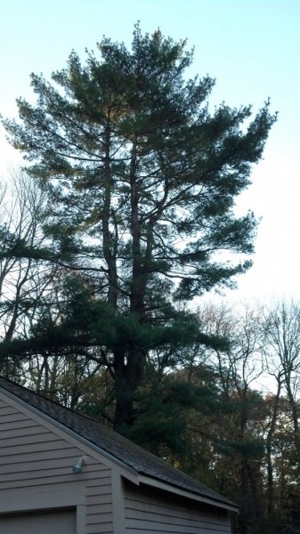 2013-10-25 08.05.51.jpg