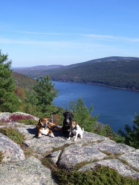 Somes Sound.JPG