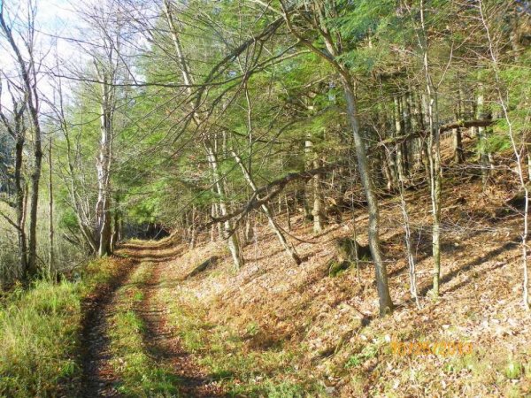 100_8083.JPG