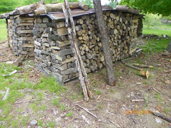 2013 wood-1.JPG