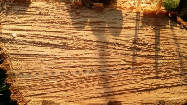 20140601_201258.jpg