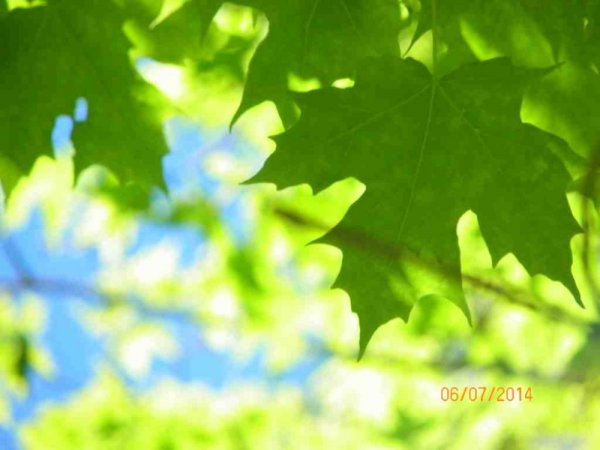 100_9313.JPG