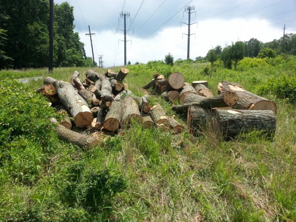 20140610_123101.jpg
