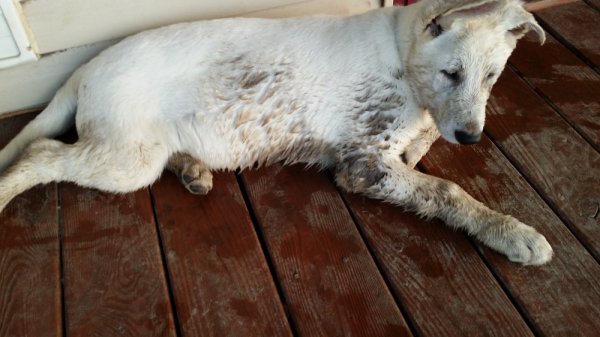 20140610_202158.jpg