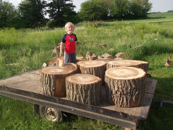 06-11-14 scrounge 001.jpg