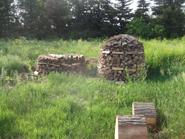 06-11-14 scrounge 003.jpg