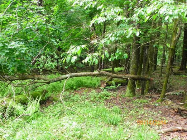 100_9327.JPG