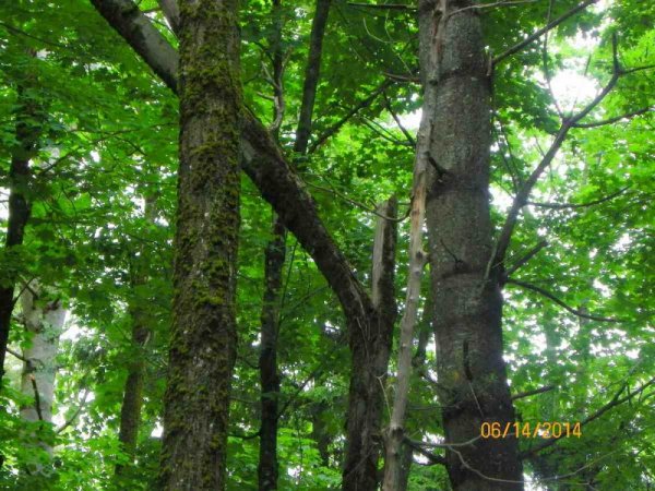 100_9332.JPG